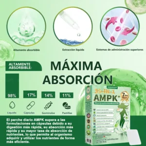 𝑽𝒆𝒏𝒕𝒂 𝑭𝒍𝒂𝒔𝒉 𝒅𝒆 𝑭𝒊𝒏 𝒅𝒆 𝑨𝒏̃𝒐 𝑶𝒇𝒊𝒄𝒊𝒂𝒍 𝑺𝒕𝒐𝒓𝒆⭐💖  𝐑𝐢𝐬𝐚𝐫𝐢𝐬𝐚® 🇺🇸 30-𝐈𝐍-𝟏 𝐏𝐚𝐫𝐜𝐡𝐞 𝐌𝐞𝐭𝐚𝐛𝐨́𝐥𝐢𝐜𝐨 & 𝐑𝐞𝐚𝐟𝐢𝐫𝐦𝐚𝐧𝐭𝐞 (𝐓𝐞𝐜𝐧𝐨𝐥𝐨𝐠𝐢́𝐚 𝐌𝐢𝐜𝐫𝐨-𝐃𝐢𝐟𝐮𝐬𝐢𝐨́𝐧, 𝐄𝐟𝐞𝐜𝐭𝐨 𝟐𝟒𝐇) 𝐏𝐚𝐫𝐚 𝐂𝐨𝐧𝐭𝐫𝐨𝐥 𝐝𝐞 𝐏𝐞𝐬𝐨, 𝐀𝐧𝐭𝐨𝐣𝐨𝐬, 𝐄𝐧𝐞𝐫𝐠𝐢́𝐚 𝐲 𝐌𝐞𝐭𝐚𝐛𝐨𝐥𝐢𝐬𝐦𝐨 𝐝𝐞 𝐀𝐳𝐮́𝐜𝐚𝐫𝐞𝐬 💡💡💡