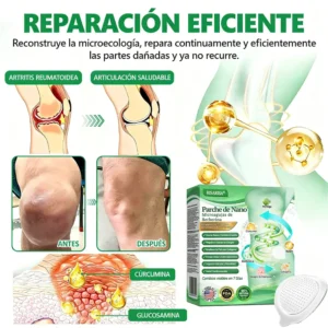 Tienda Oficial |🎗️ RISARISA® Parche Nano de Berberina 6-en-1 (Fórmula con NAD+ y Moringa) - Uso Diario, Cambios en 7 Días - Para Obesidad, Diabetes y Dolor Articular